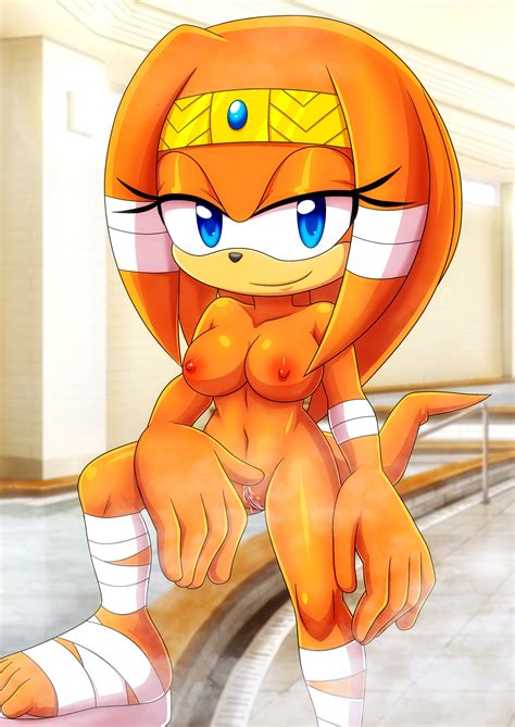 Rule 34 5 Toes Bbmbbf Furry Mobius Unleashed Palcomix Sega Sonic Series Tikal The Echidna