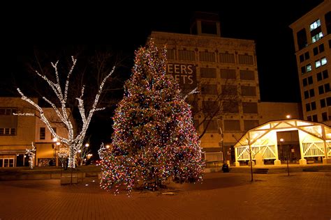 Make sure your home looks the best on the street this christmas with outdoor christmas lights from homebase. Outdoor Tree Lights for Christmas The Ultimate Way to ...