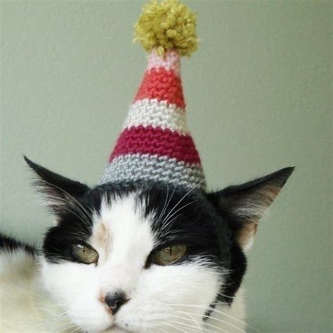 Crochet Cat Birthday Hat Pattern Chat Crochet Crochet Cat Hat Knitted
