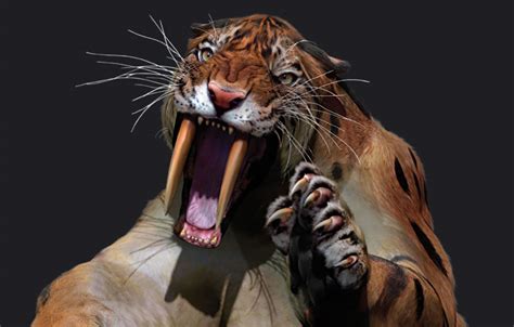 Please enter your email address receive free weekly tutorial in your email. Saber-toothed cats were fierce and family-oriented ...