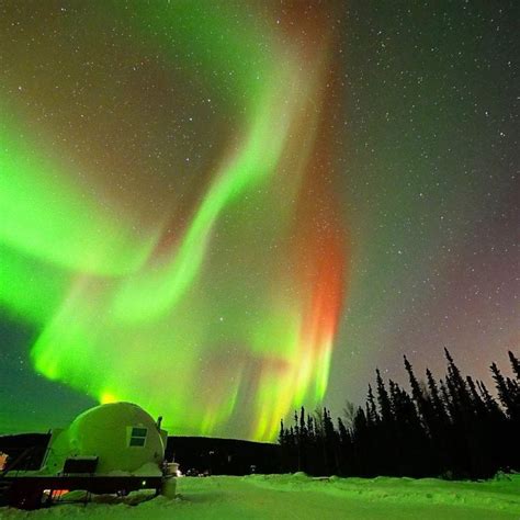 Borealis Basecamp Northern Lights Viewing Winter Alaska Vacation
