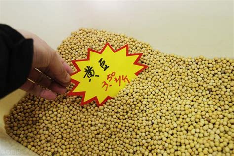 大豆大漲55，2個月進口1341萬噸，大豆保衛戰打響，還漲 每日頭條