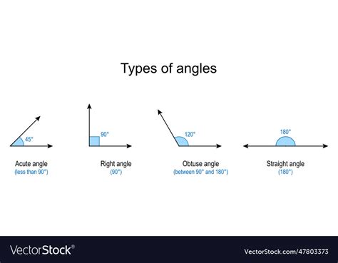 Types Of Angles Royalty Free Vector Image Vectorstock