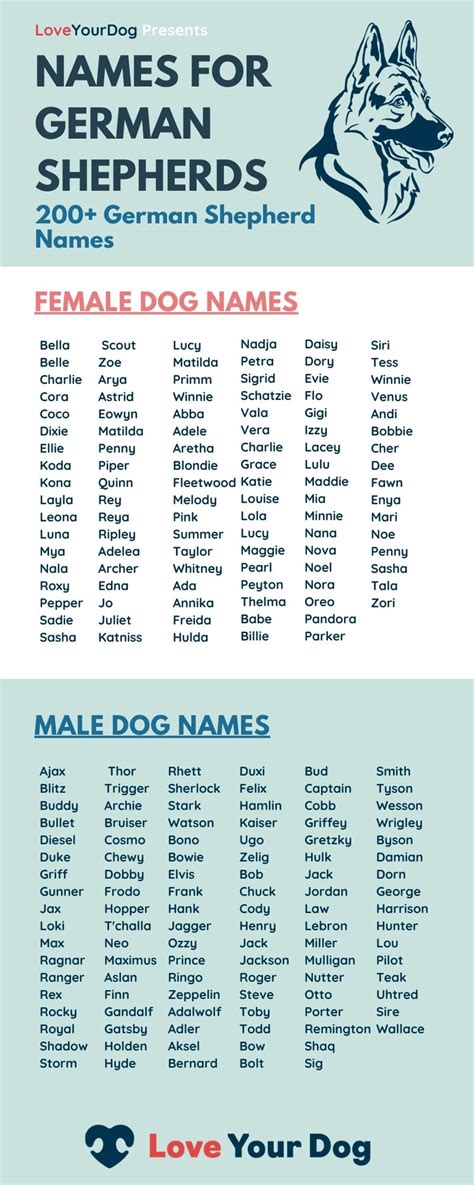 Dog Breed Names Artofit