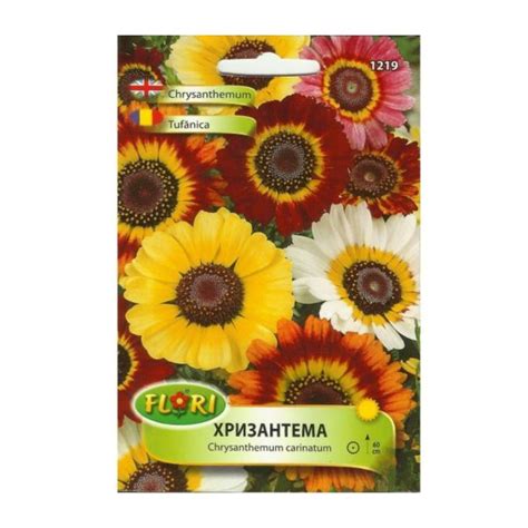 Seminte De Crizantema Tufanica Mix 06 Grame Florian Hectarulro