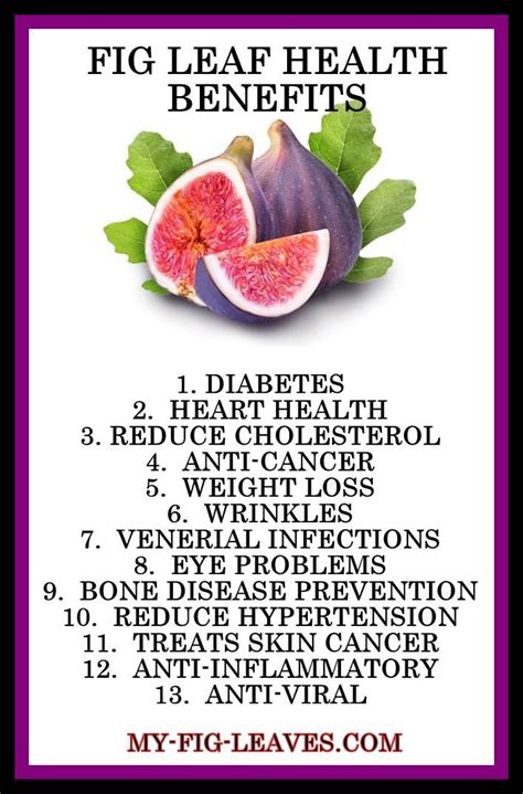 The Top 10 Fig Leaf Benefits Plus How To Prepare The Leaves How To