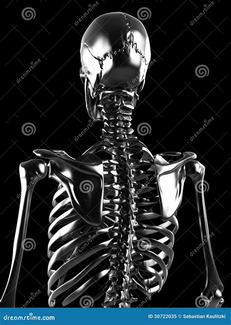 Metal Skeleton Stock Illustration Illustration Of Polished 30722035