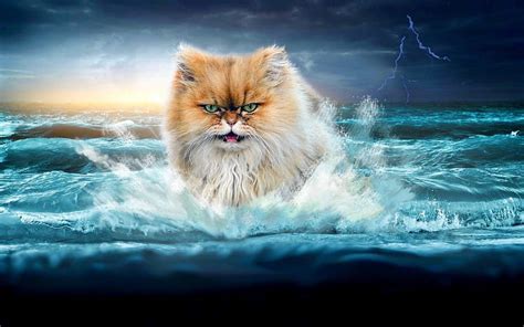 1920x1080px 1080p Free Download Thunder Cat Lightning Ocean Waves