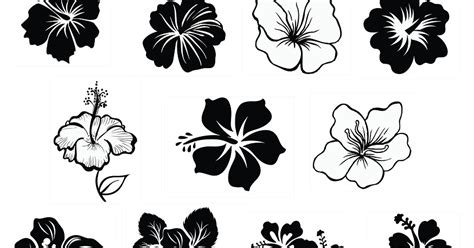 Free Free 279 Silhouette Hibiscus Flower Svg SVG PNG EPS DXF File