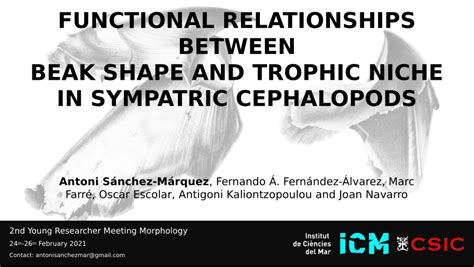 pdf functional relationships between beak shape and trophic niche in sympatric cephalopods