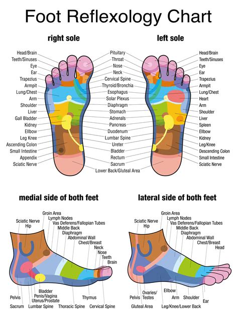 34 Chart For Reflexology For Chart Reflexology Chart And Formation