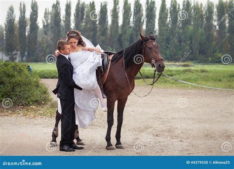 Wedding Couple On Horses Stock Photo Image Of Adult 44379530