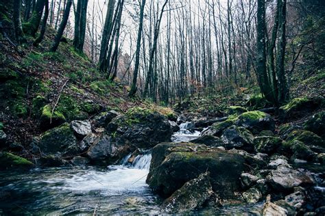Stream In The Autumn Dark Forest High Quality Nature Stock Photos