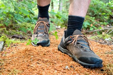 The Best Hiking Shoes Of 2020 — Treeline Review