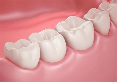 Molar Tooth Studio Dentaire