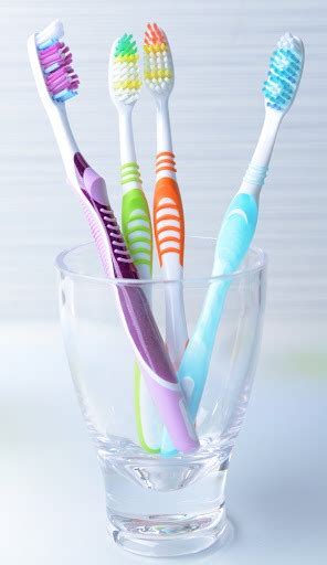 Why Sharing Your Toothbrush Is Wrong Flexidentist