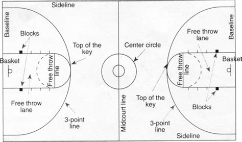 Diagram Of Basketball Court Labeled Top Label Maker