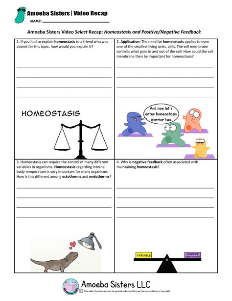 Handouts created by the amoeba sisters that correspond to amoeba sisters videos. Ameoba Sisters Homeostasis worksheets