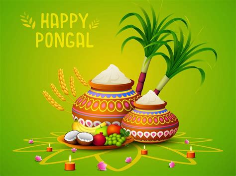 Happy Pongal 2021 Here S How Tamil Nadu Is Celebrating Pongal Today