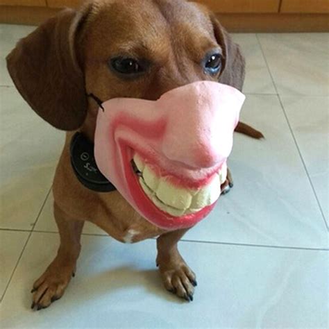Human Face Masks The Creepiest Dog Muzzles Ever
