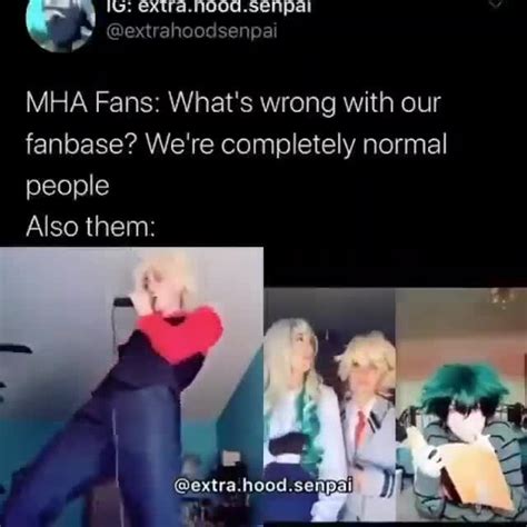Mha Fans Whats Wrong With Our Fanbase Were Completely Normal People