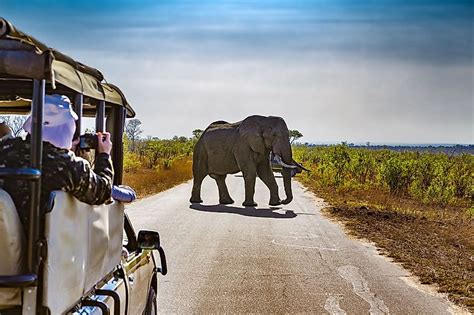 Kruger National Park South Africa Worldatlas