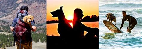 Dog Owners Who Love Adventure & Travel - Casting New International