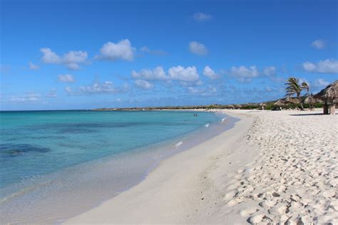 Aruba Beaches White Sand Arashi Eagle Beach Palm
