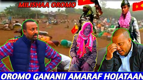 Tarkanfi Humnaa Adaa Amara Fi Fanoon Milishaa Oromo Iratii Fudhatan