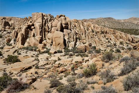 Mojave Desert California Stock Photo Image Of Scenic 80447044