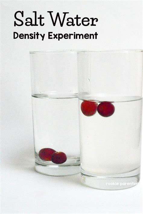 Salt Water Density Experiment Artofit
