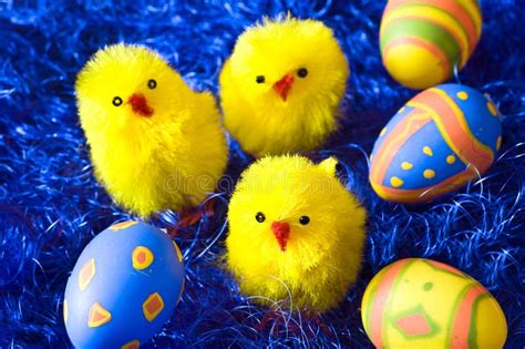 Easter Chickens And Eggs Stock Photo Image Of Painted 4211010
