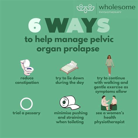 6 ways to manage pelvic organ prolapse wholesome physiotherapy