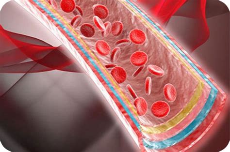 Interna Medicina Poliklinika Tectum Laboratorija