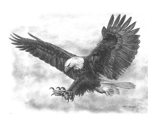 Check spelling or type a new query. Creative Streams . Pastel Art . Pastel Drawing . Wildlife ...