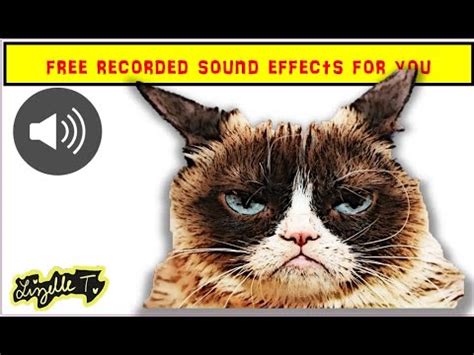 Maybe you would like to learn more about one of these? Real Cat Meow Meowing Voice Sound Effects ( No CPR Free To ...