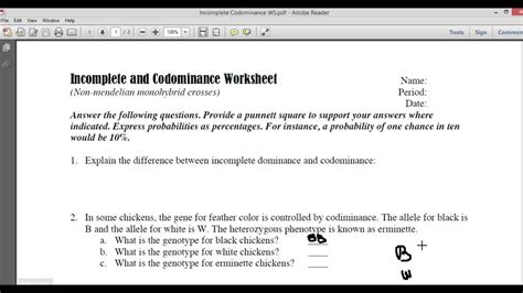 Incomplete And Codominance Worksheet Englishworksheetmyid