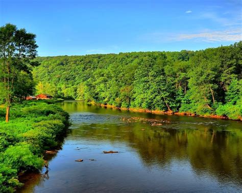 River Leak Of Water Dense Forest From Green Trees Nature Blue Sky