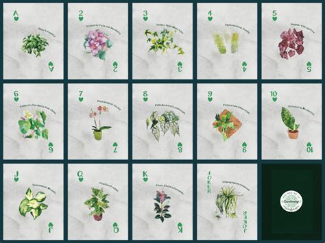 No one has, and will likely never would you believe every time you gave the whole deck a proper shuffle, you were holding a sequence of cards which had never before existed in all of history? Announcing the Ultimate Deck of Floral Playing Cards - YHMAG