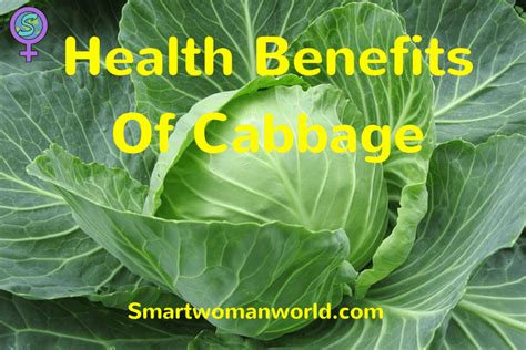 Health Benefits Of Cabbage 10 Reasons Why Cabbage Is Good For You