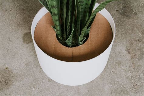 Thank you for sharing and making the video on how to make them. HOW TO MAKE A FAUX PLANT LOOK REAL | Nadine Stay | Faux ...