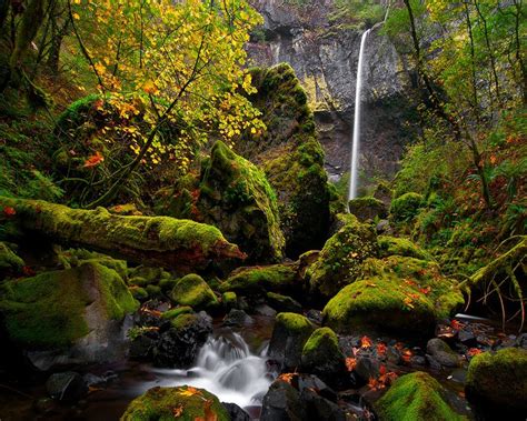 Ingyenes Háttérképek Tájkép Erdő Vízesés Szikla Természet Zöld