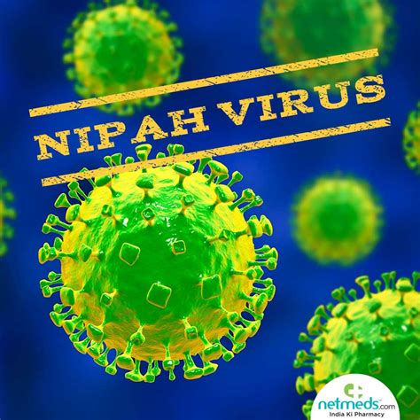 Nipah virus (niv) is a zoonotic virus, meaning that it can spread between animals and people. Nipah Virus: Kerala On Alert After Youth Hospitalised With ...