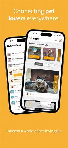 Reno S Craigslist Connecting Pet Lovers With The Perfect Companions