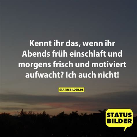 Herrgott lass den kater mein, morgen nicht zu schrecklich sein. Lustige Sprüche Morgen | schöne sprüche über das leben