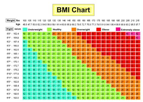 What Is My Bmi How To Calculate Bmi