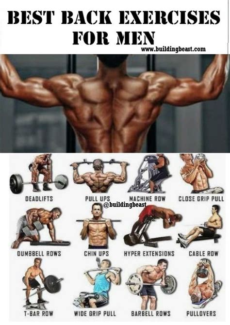 Best Back Exercises For Men Good Back Workouts Back Workout Program