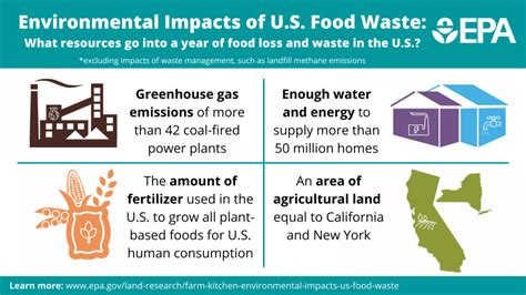 Top 6 Environmental Issues The Us Is Facing In 2024 Earthorg