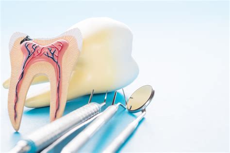 Root Canal Therapy Snyder Endodontics