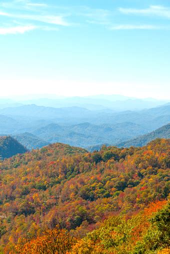 Smoky Mountain Fall Foliage Ii Stock Photo Download